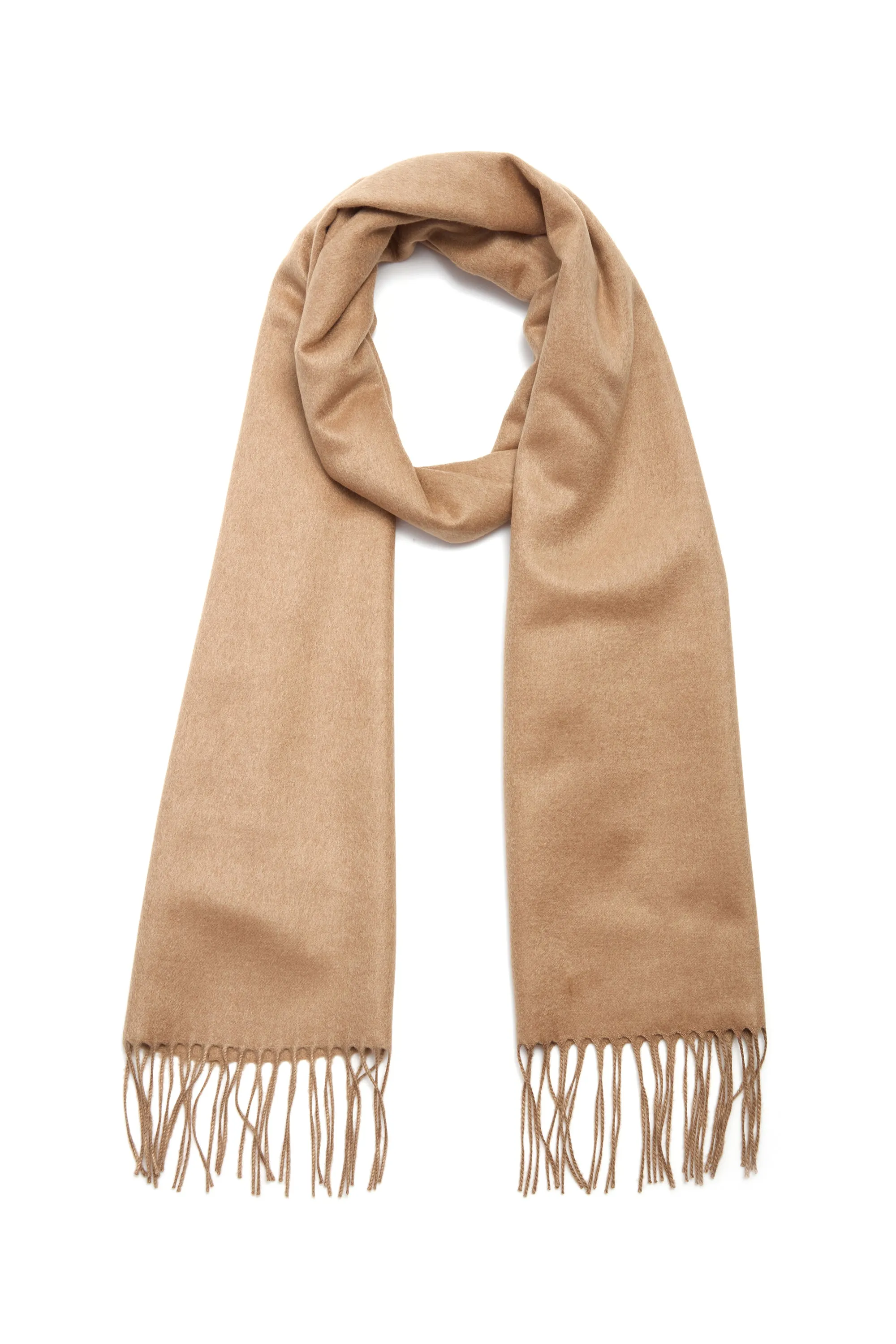 Camel Silk Cashmere Blaine Scarf