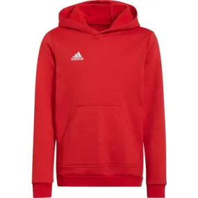 Kids adidas Entrada 22 Hoodie